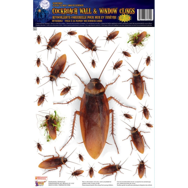 Cockroaches for wall and window pictures