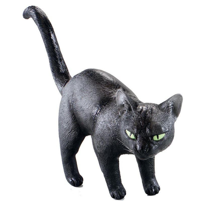 Evil black witch cat