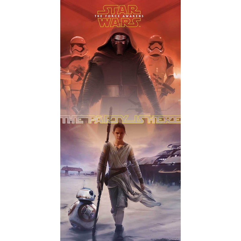 Star Wars The Force door poster 75cm x 1.5m