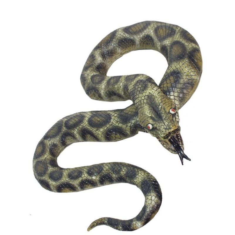 Giant python Paul
