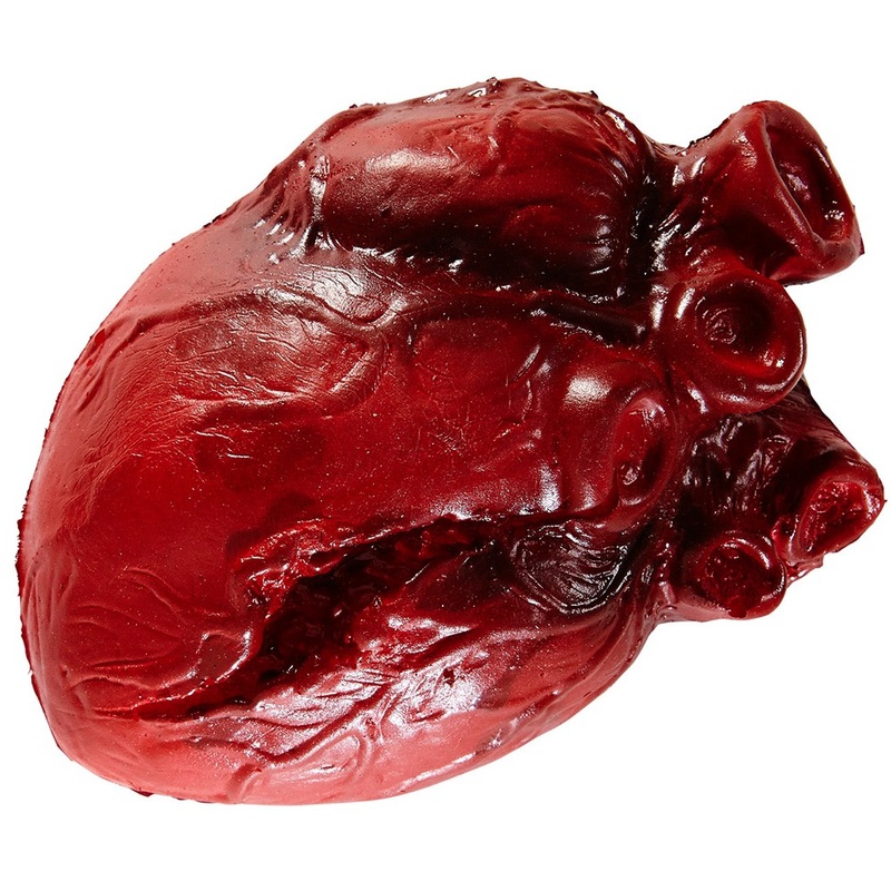 Human Heart Prop 14cm