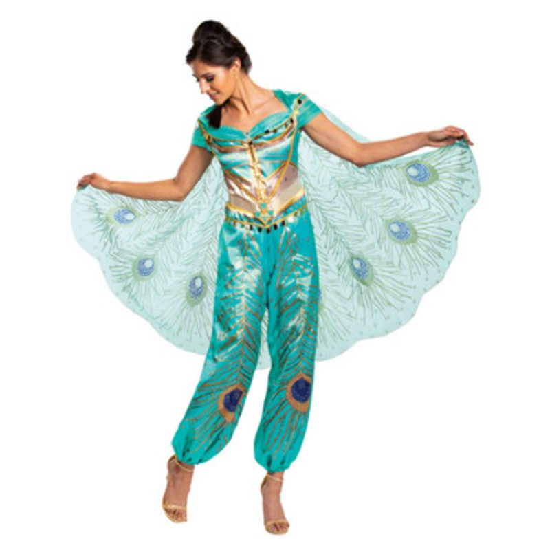 Jasmine Aladdin Deluxe Women’s Costume Small