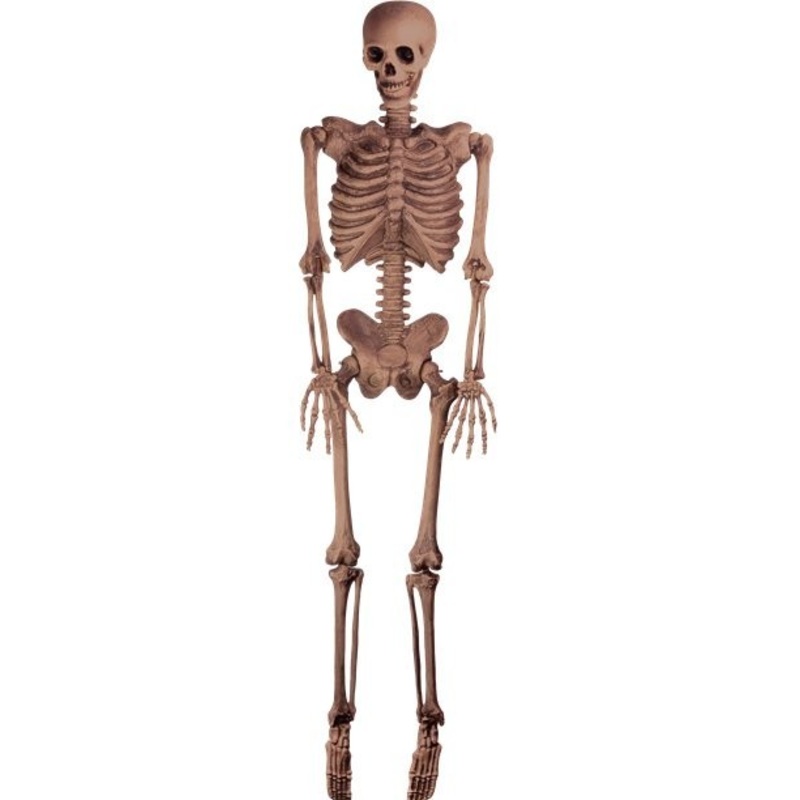 Realistic decorative skeleton 1.5 m
