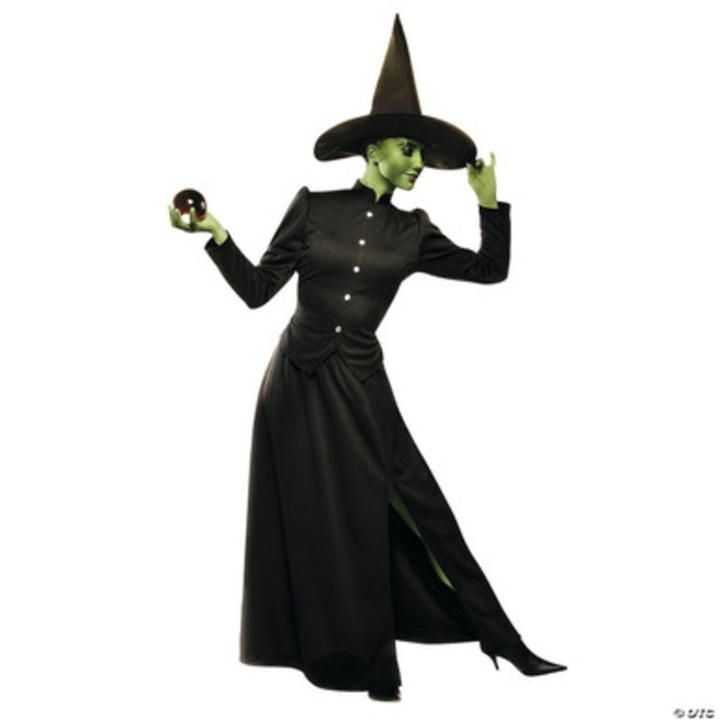 Classic Witch Costume Deluxe Adult Small