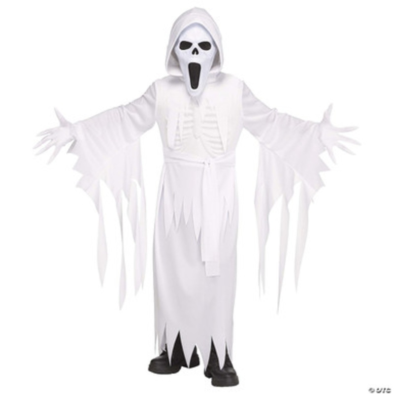 The Banshee Ghost Costume – Child  Medium