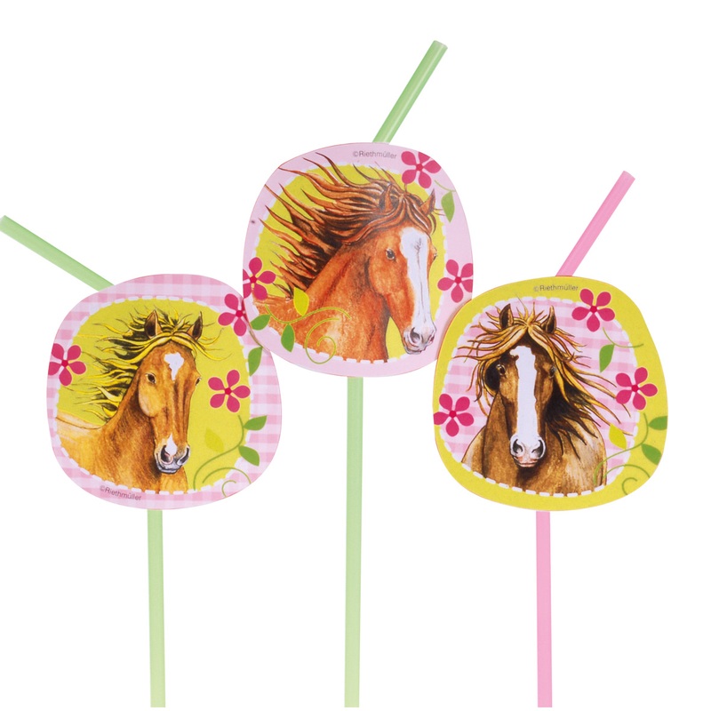 8 riding stables party straw 24cm
