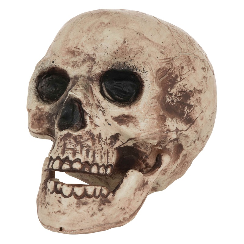Unearthed skull