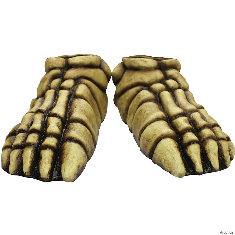 Adults Skeleton Feet