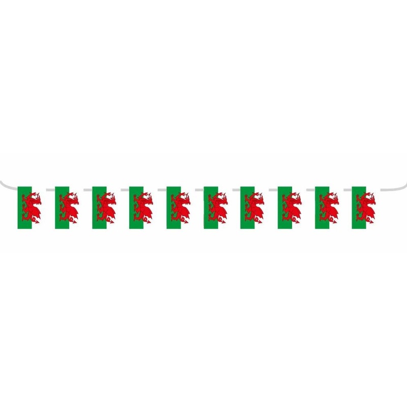 Wales pennant chain 5m