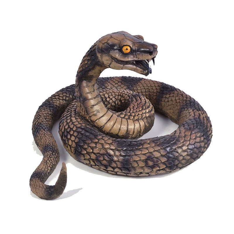 Evil poisonous cobra