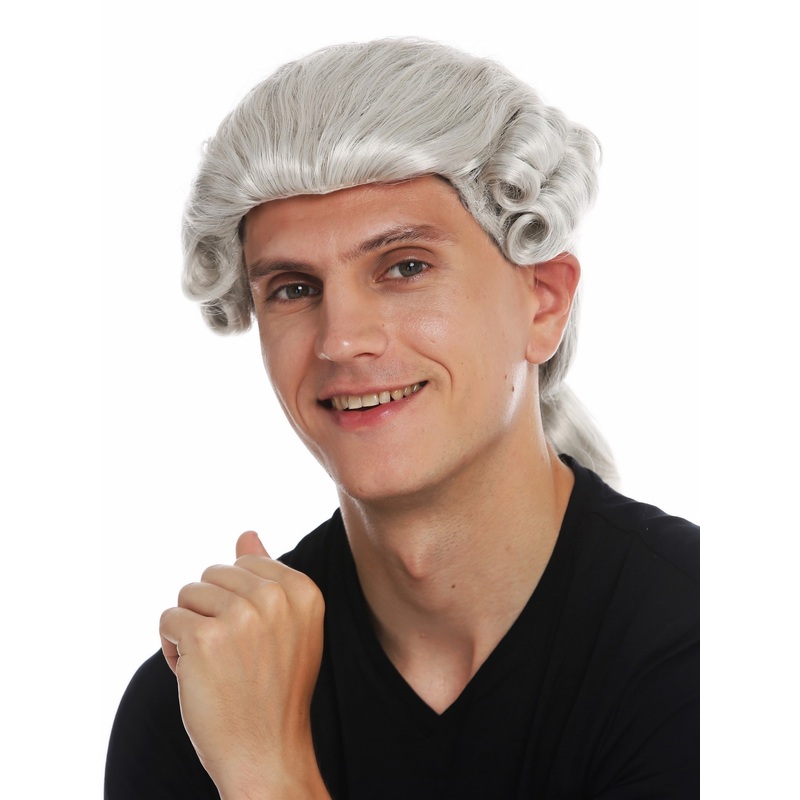 Wig men man historic baroque renaissance aristocrate king light grey braid VK-31
