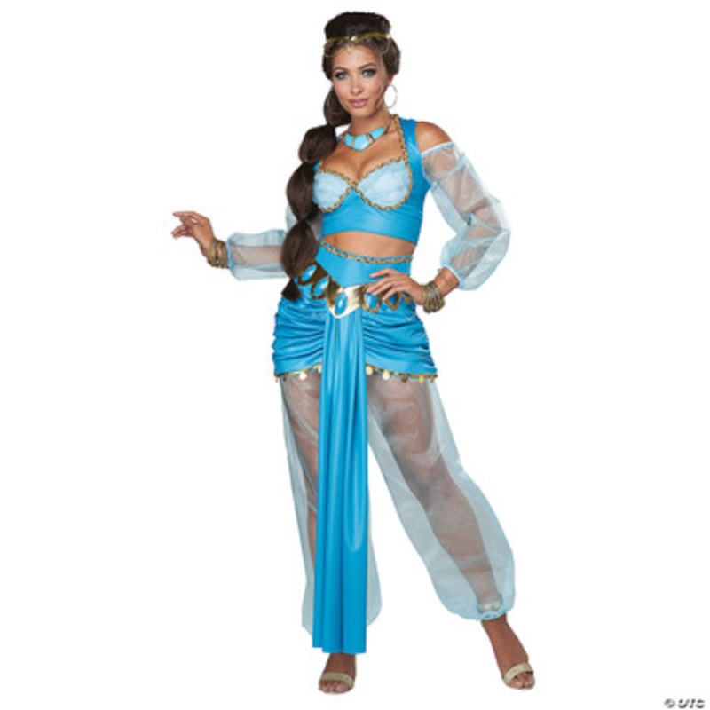 Arabian Princess Adult Costume Small