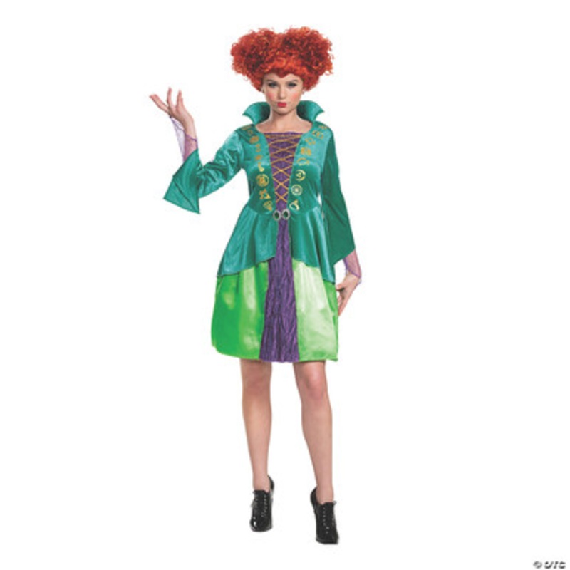 Hocus Pocus Winifred Sanderson Adult Costume Small