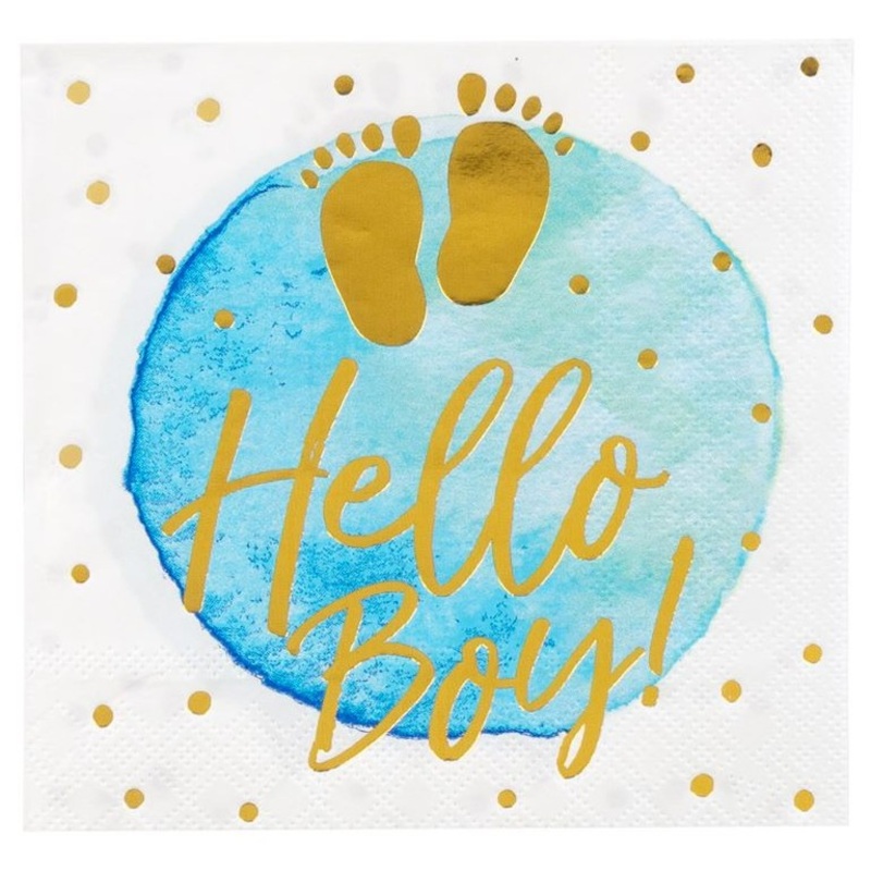 20 Cute Little Boy napkins 33cm