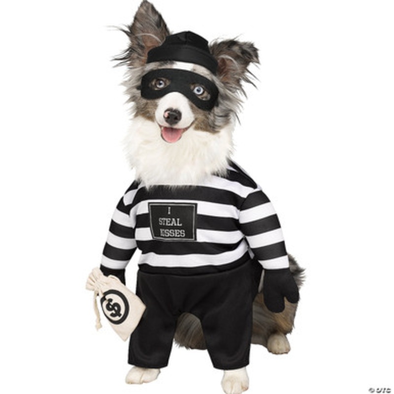 Robber Pup Pet Costume Small|Small|Medium|Large|X-Large