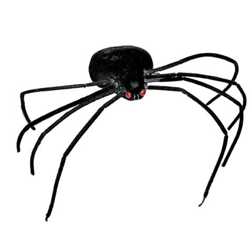 Little black widow