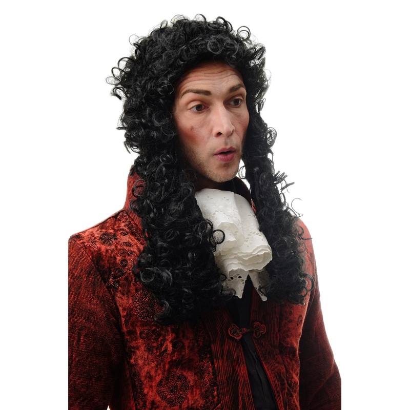 Man Party Wig Baroque Lord Renaissance long black curls Noble French King 91175