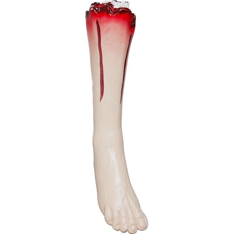 Severed leg of Nestor with bone