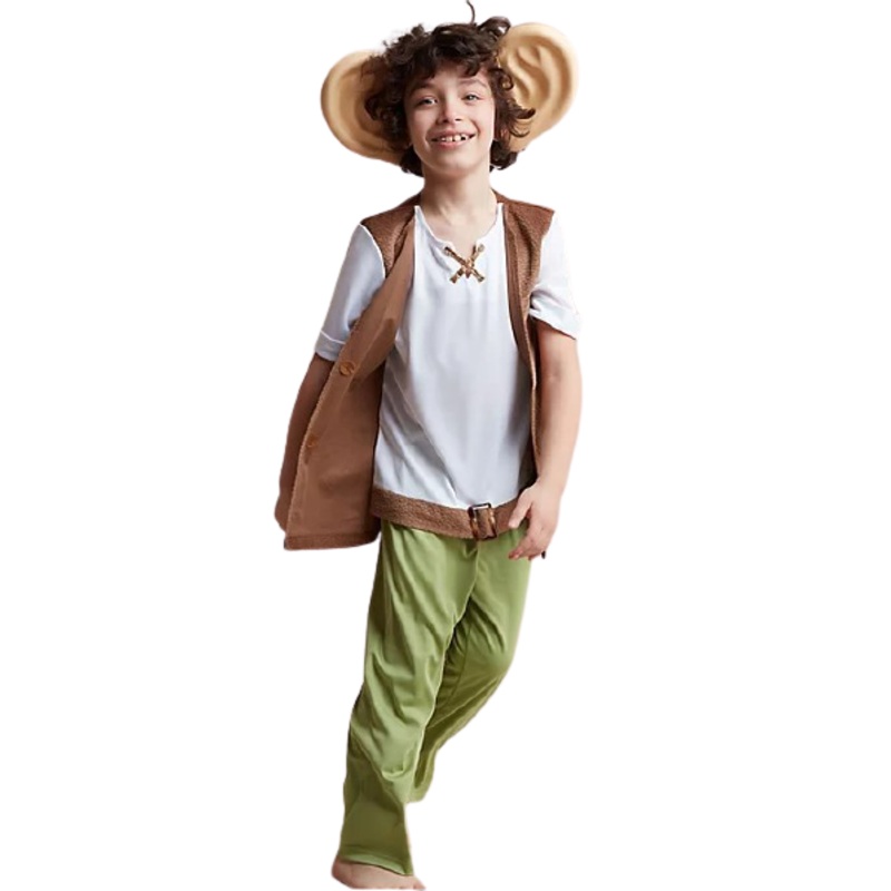 The BFG Fancy Dress Costume – Kids