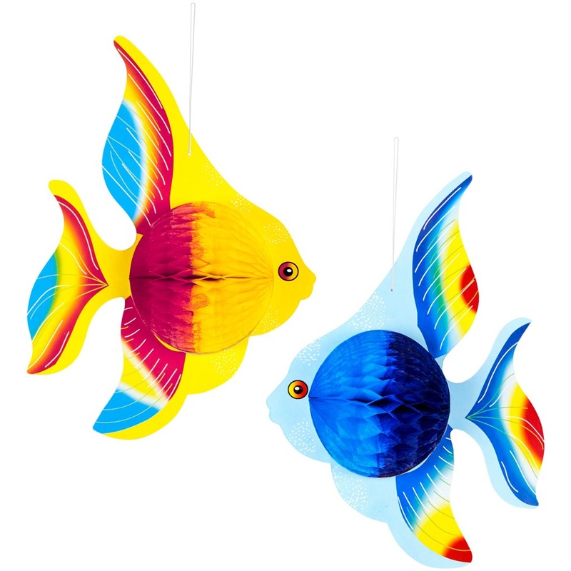 2 colorful tropical fish 25cm