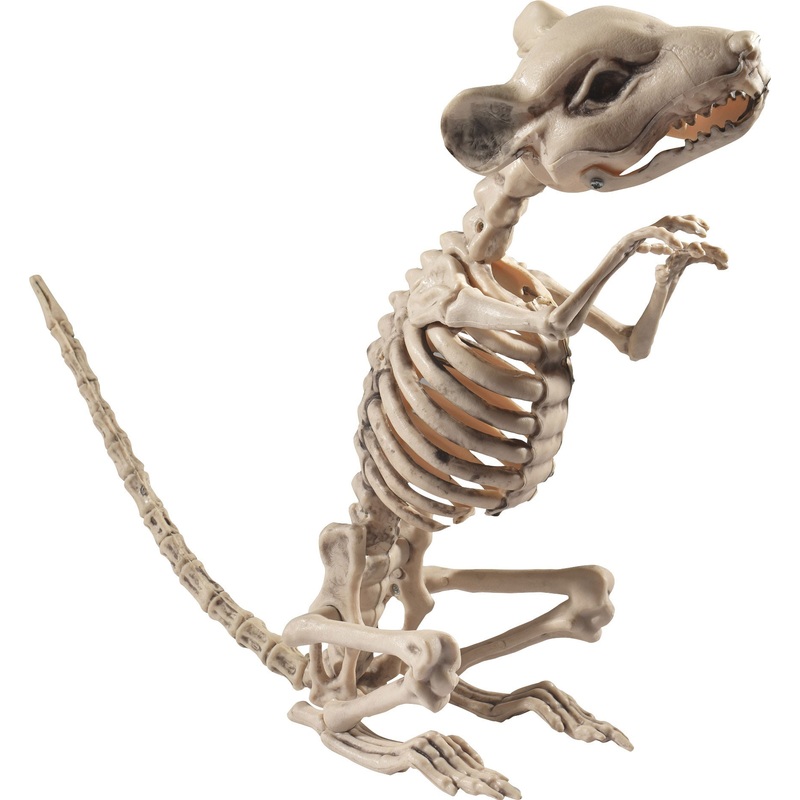 Male making skeleton rat 33cm