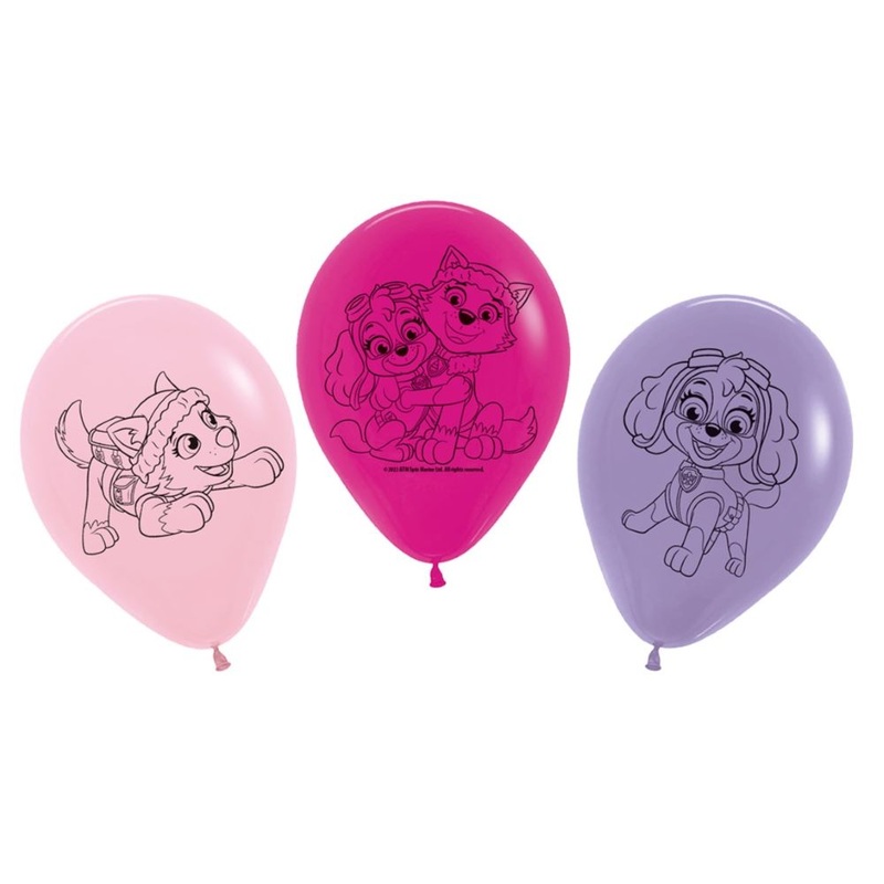 5 Paw Patrol Friends balloons Skye 30cm
