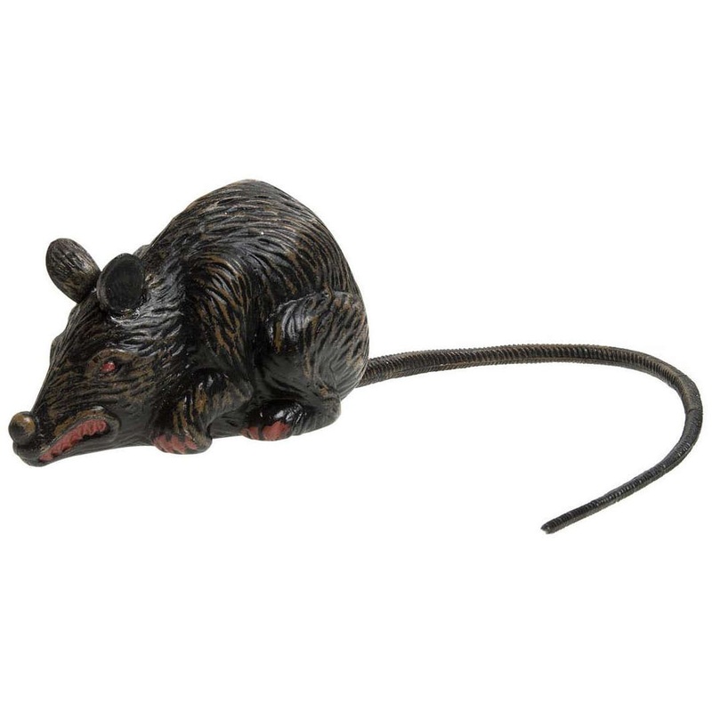 Dangerous rabies rat 10cm