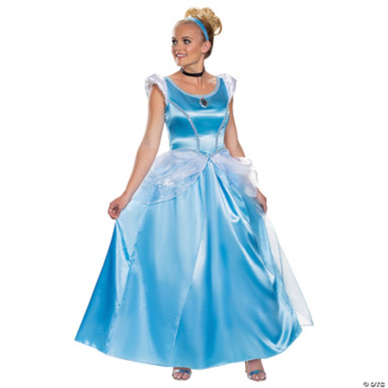 Cinderella Deluxe Costume – Adult Small