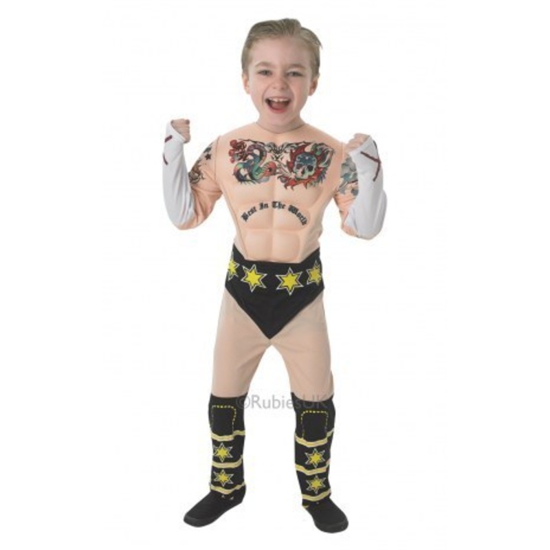 WWE Deluxe CM Punk – Kids