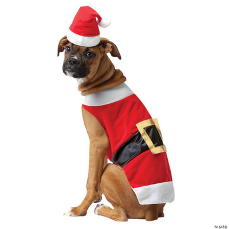 Santa Dog Costume X-Small|X-Small|Small|Medium|Large|X-Large|XX-Large