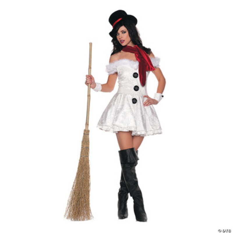 Snowed In Sexy Adult Costume  Small