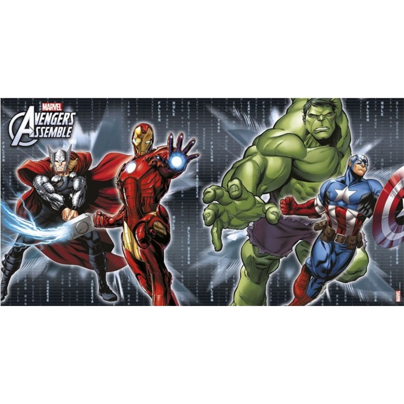 Avengers superhero wall backdrop 77cm x 1.5m