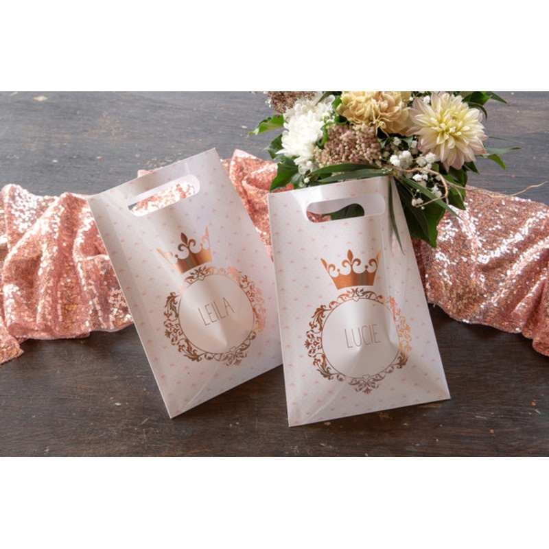 10 Princesse gift bags 16.5 x 23cm
