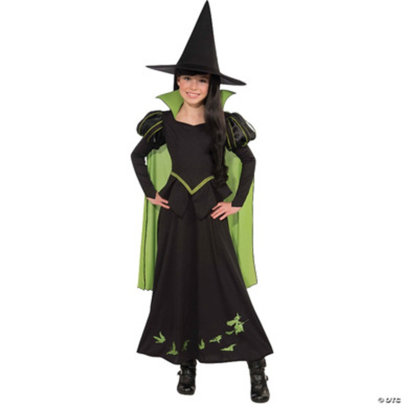 Wicked Witch Of The West Child Costume – Wizard Of Oz  Medium
