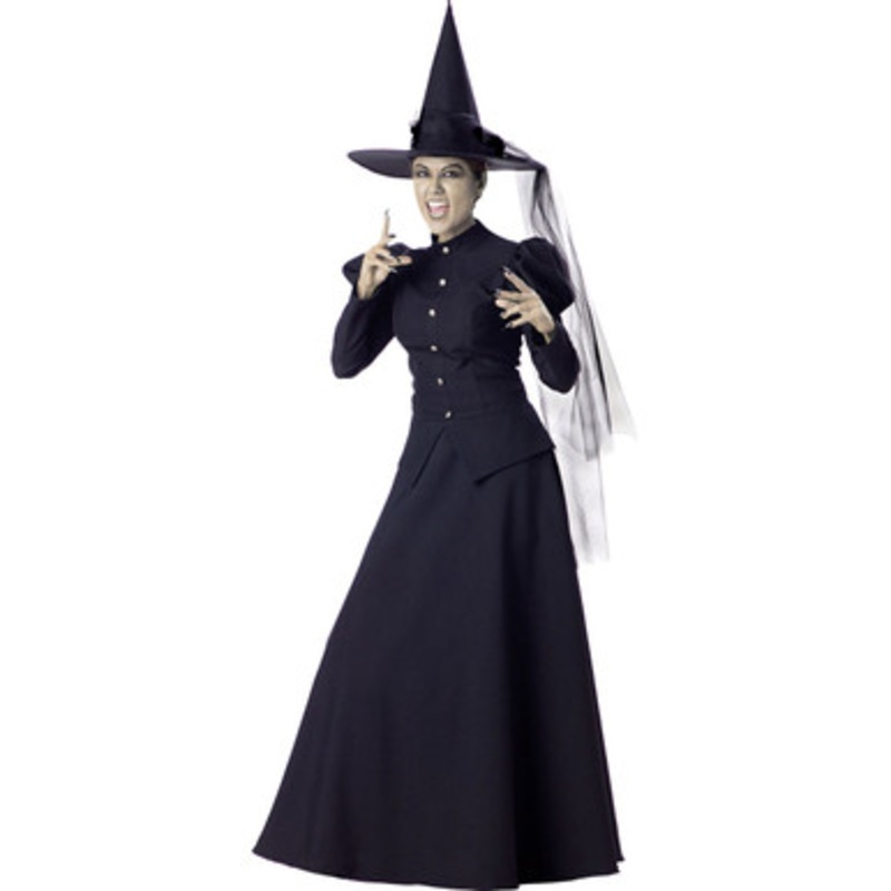 Wicked Witch Deluxe Adult Costume  Small